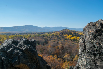 the mountain autumn landscape with colorful forest
