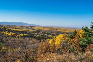 the mountain autumn landscape with colorful forest
