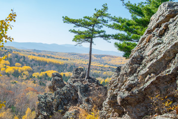 the mountain autumn landscape with colorful forest