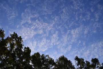 秋晴れの空にマーブル模様のような雲が浮かんでいる風景
