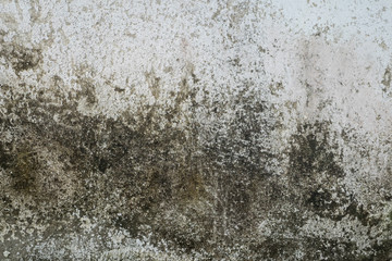 grunge textured concrete wall background with color paint cracked and moldy