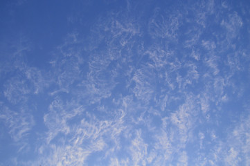 透明感のある秋の青空にマーブル模様の雲が浮かんでいる風景