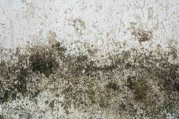 grunge textured concrete wall background with color paint cracked and moldy