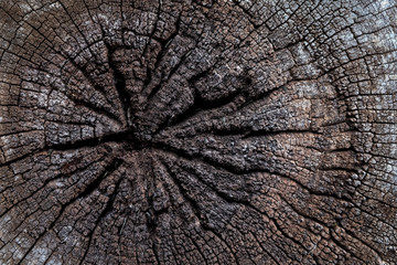 annual rings of old cracked log wood for texture background 