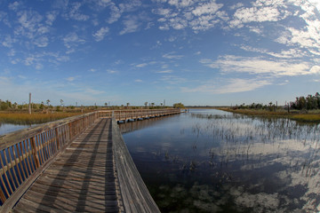 Clouds Reflected in the Wetlands at Castaway Island Preserve