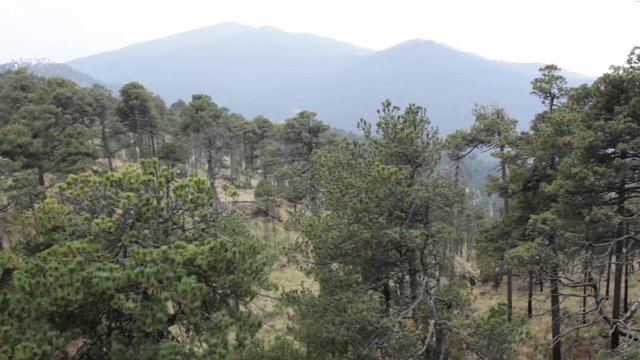 Cinematic shot at the top of the mountain revealing and seeing the horizon with other mountains and shadows on a cloudy and cold day between the creepy forest.
