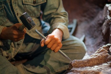 Archaeologists are digging for the remains of animals.
