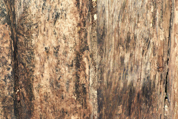 wooden background