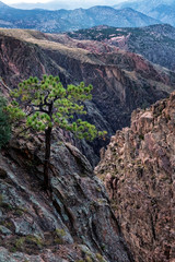 Royal Gorge, Colorado