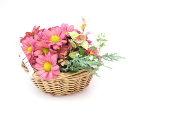 カゴに挿した菊