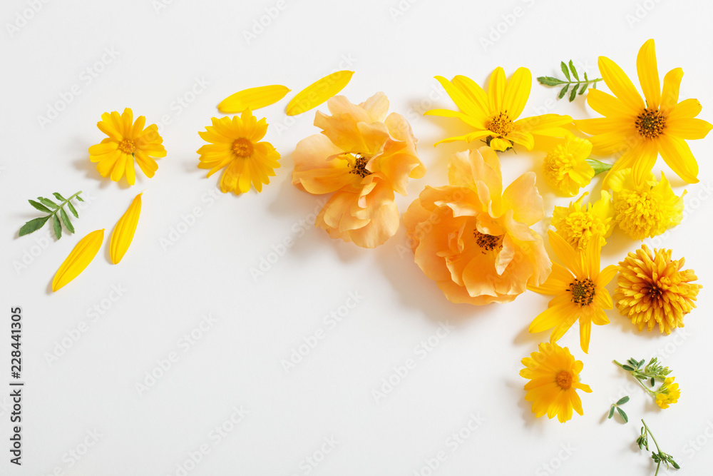 Wall mural yellow and orange flowers on white background