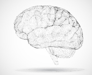 Brain 01-bl [Converted]