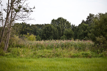 Obraz premium Landschaft