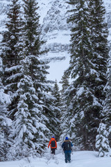 boy and girl in winter forest