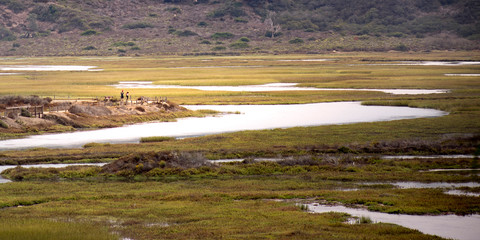 Lagoon in San Diego California on a sunny day