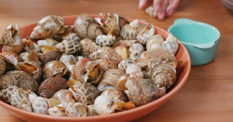 Steam snail on dish