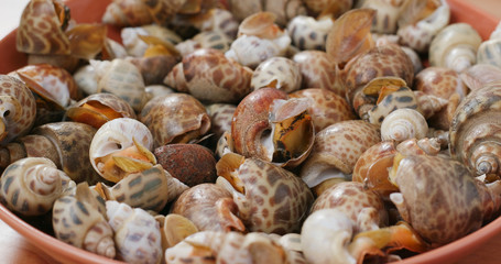 Steam snail on dish