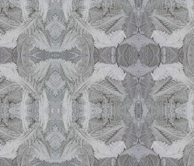 Frost flower on the window