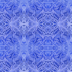 Frost flower on the window