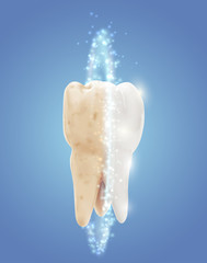 vector molar tooth. beauty and health. tooth cleaning and personal care