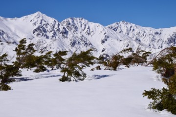 Fototapeta na wymiar Hakuba valley / Nagano ~ winter season