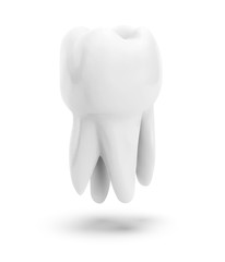 vector molar tooth. beauty and health. tooth cleaning and personal care