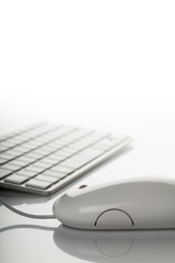 Obraz na płótnie Canvas Keyboard and mouse