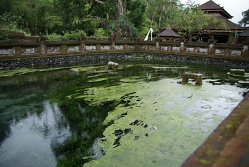 Fototapeta na wymiar Holy Springs at Puta Tirta Empul, Bali, Indonesia
