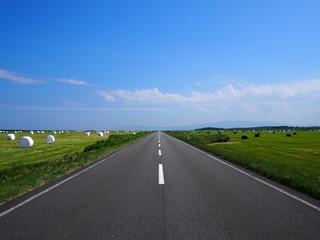 Fototapeta premium OLYMPUS DIGITAL CAMERA