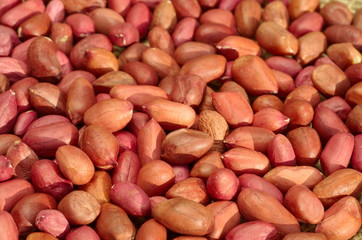 Background of peanut