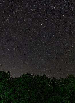 The constellation of the Big Dipper rising over the forest trees and guiding the way to the Small Dipper with the main navigational star, the Polaris