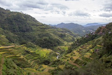 Obraz premium Breathtaking rice terraces in Batad, Banaue, Philippines