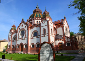 Fototapeta premium nature, flowers and buildings