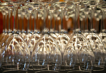 Isolated, close up view of lined up upside down commercial wine glasses 