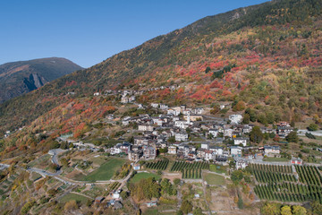 Valtellina, village of Baruffini with forest and vineyards. Autumn season