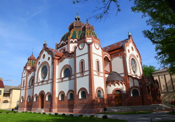 Obraz premium nature, flowers and buildings