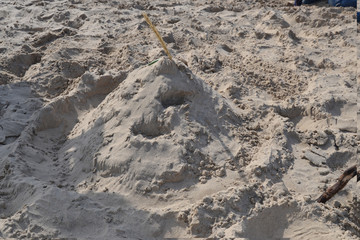 Bereg of the White sea in the summer Agrah