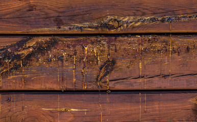 Holzbalken mit Harzaustritt