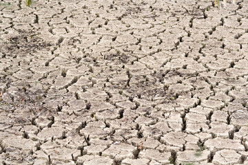 Trockenheit