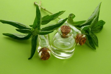 Basil Oil.Essential pure basil oil set in  bottles and fresh basil on a light green background