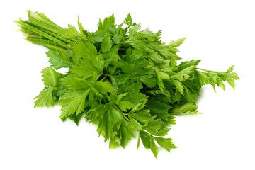 celery leaf isolated on white background. Celery isolated on white. Healthy food