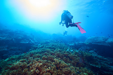 Naklejka na ściany i meble beautiful underwater with the coral reef at Losin diving spot south of Thailand 