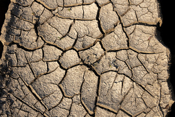 Dry cracked earth texture. Global climate change