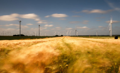 Weizenfeld Langzeitbelichtung