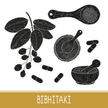 Bibhitaki. Terminalia bellirica. Plant. Leaf, branch, fruit, berry. Powder, mortar, tablet. Set. Black silhouette on white background. Monochrome.