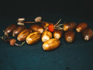 Acorns of autumn oak and berries of wild rose isolated on black  background.