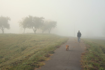 Obraz premium man walking with dog on foggy autumn morning
