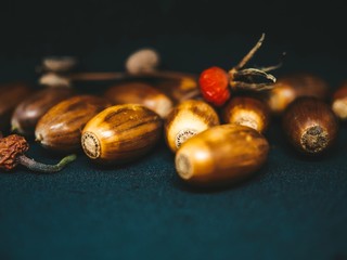 Acorns of autumn oak and berries of wild rose isolated on black  background.