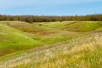 Obraz premium The sunny summer landscape with the hilly grassland