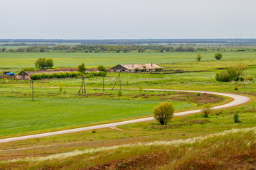 Fototapeta premium The asphalt road leading to the old abandoned farmstead. Russia, Rostov-on-Don region